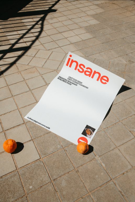 Insane (project) poster
